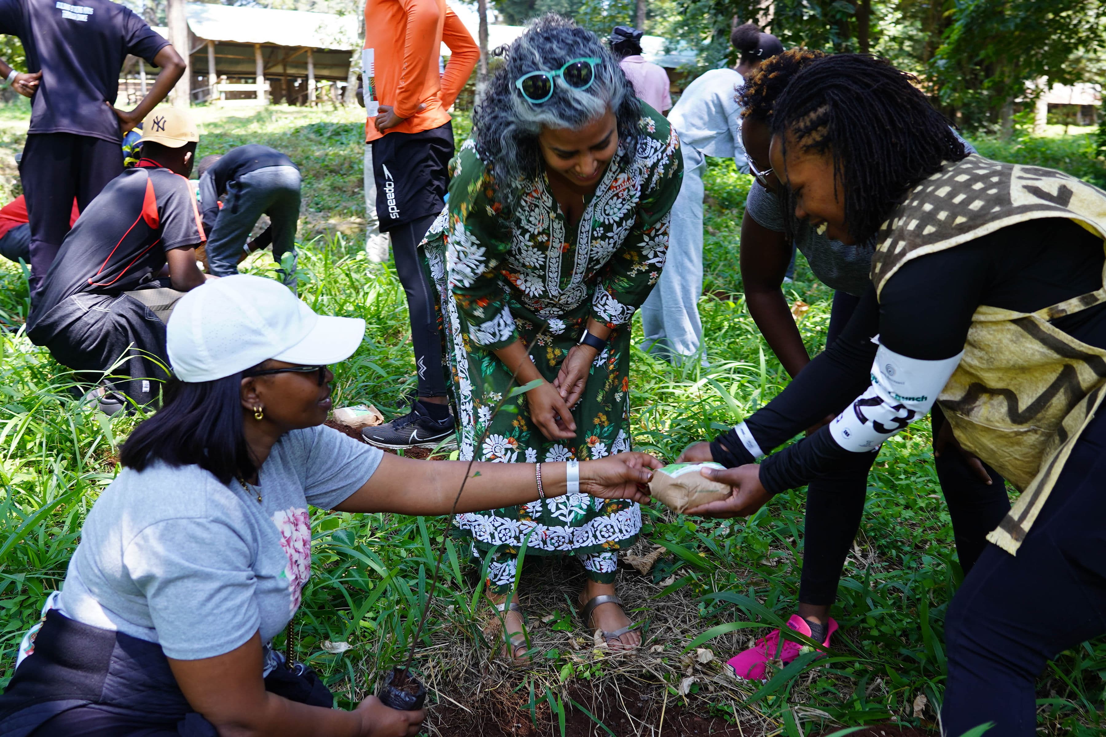 A group planting a tree together
