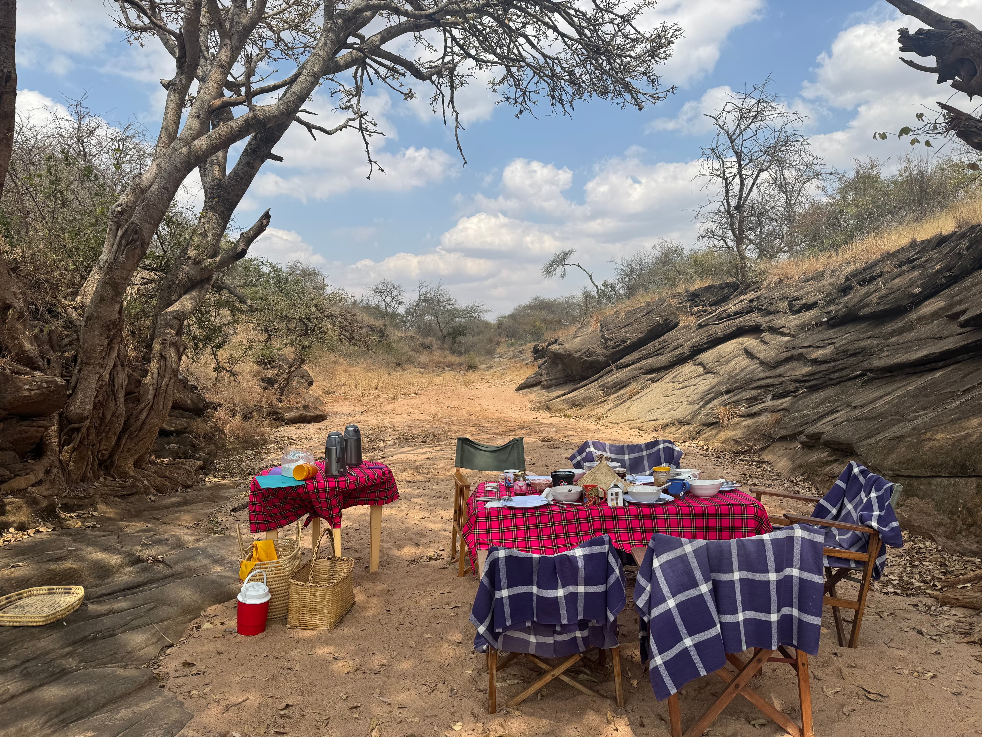 A set table for a shared meal in a dry riverbed beneath a large tree