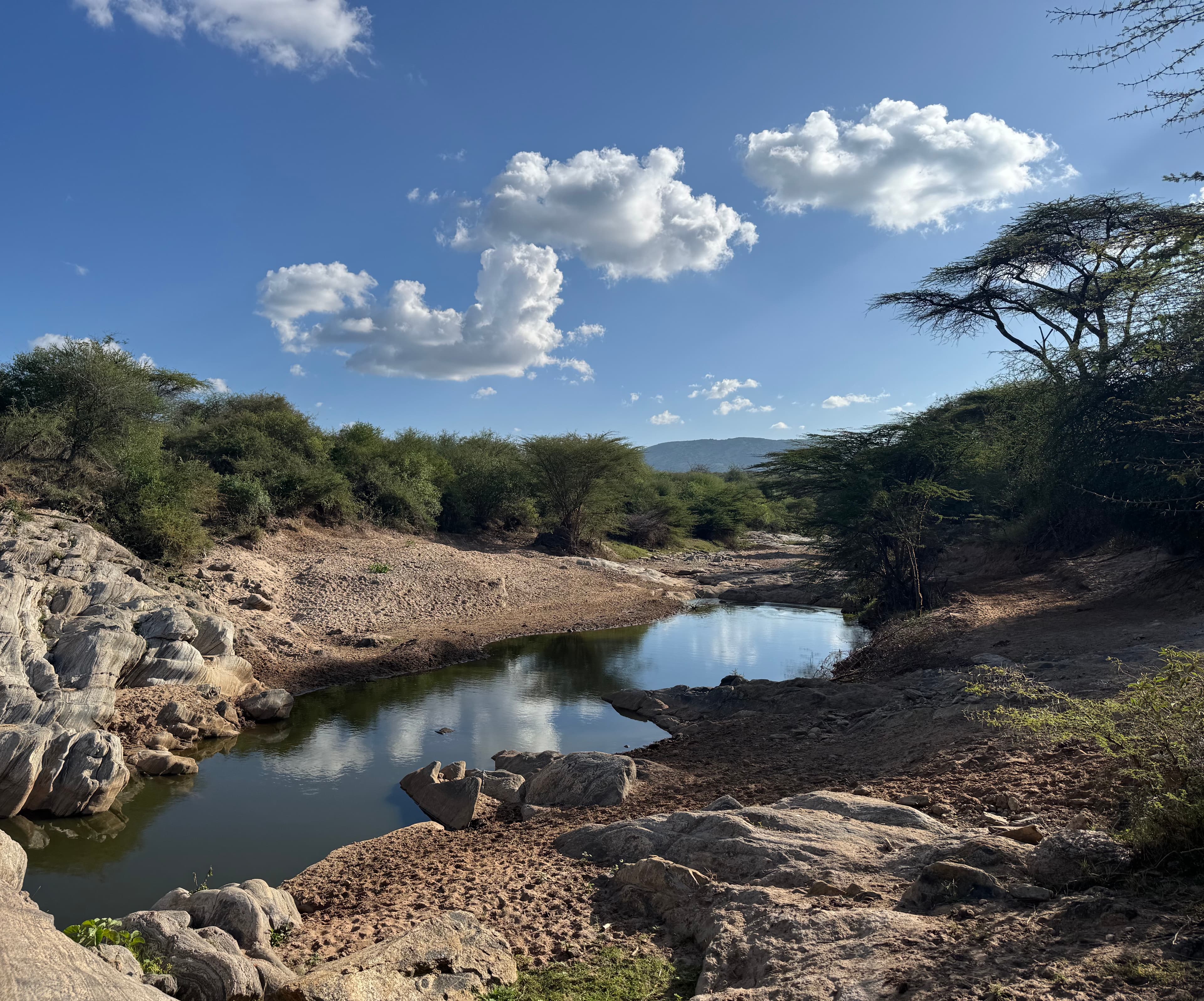 A clear pool in a riverbed surrounded by rock and acacia trees